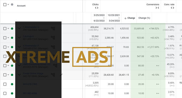 Google Ads results