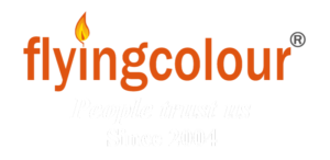 Flyingcolour logo - google ads agency India